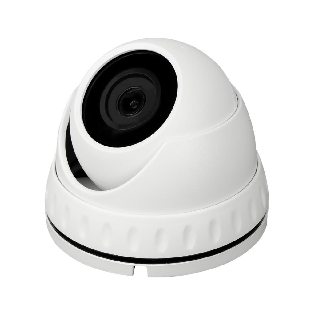 Гибридная антивандальная камера GV-113-GHD-H-DOK50-30 - Изображение 4